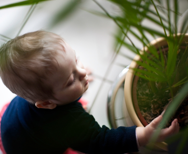 baby with green houseplant air purifier