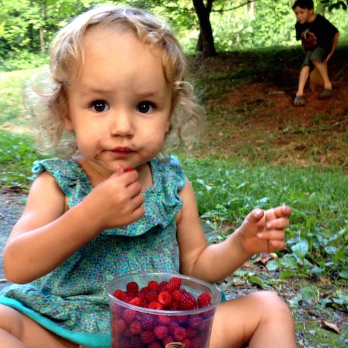 Ways to Encourage Kids to Love Nature | Foraging for Berries