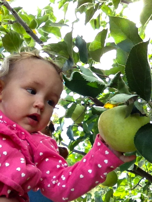 Ways to Encourage Kids to Love Nature | Picking Apples